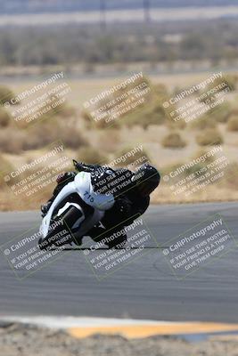 media/May-14-2023-SoCal Trackdays (Sun) [[024eb53b40]]/Turn 5 Tree of Life (1125am)/